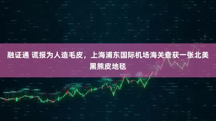 融证通 谎报为人造毛皮，上海浦东国际机场海关查获一张北美黑熊皮地毯