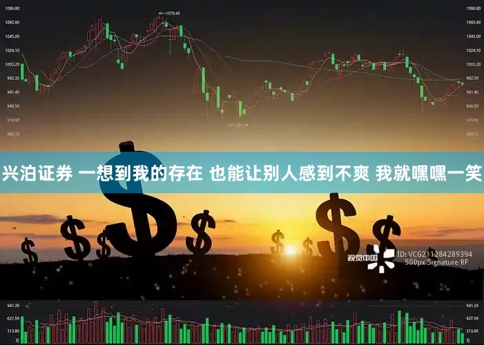 兴泊证券 一想到我的存在 也能让别人感到不爽 我就嘿嘿一笑