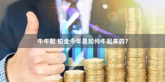 牛牛配 铂金今年是如何牛起来的？
