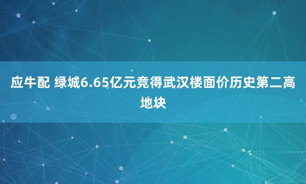 应牛配 绿城6.65亿元竞得武汉楼面价历史第二高地块