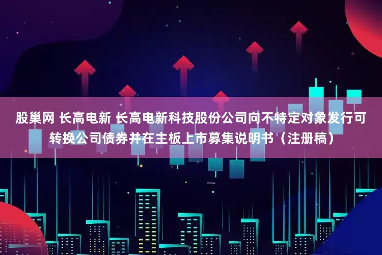 股巢网 长高电新 长高电新科技股份公司向不特定对象发行可转换公司债券并在主板上市募集说明书(注册稿)